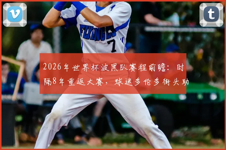 2026年世界杯波黑队赛程前瞻：时隔8年重返大赛，球迷多伦多街头助威视频引燃期待